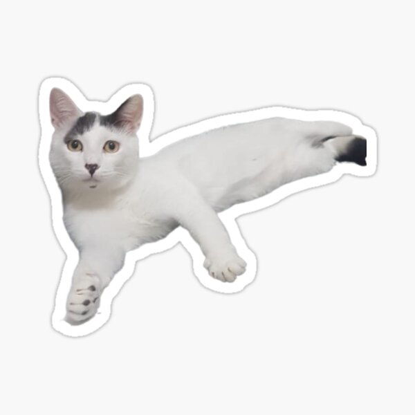 Item preview, Funny Cat Sitting Like Human Hilarious designed and sold by CandyDroidMerch.