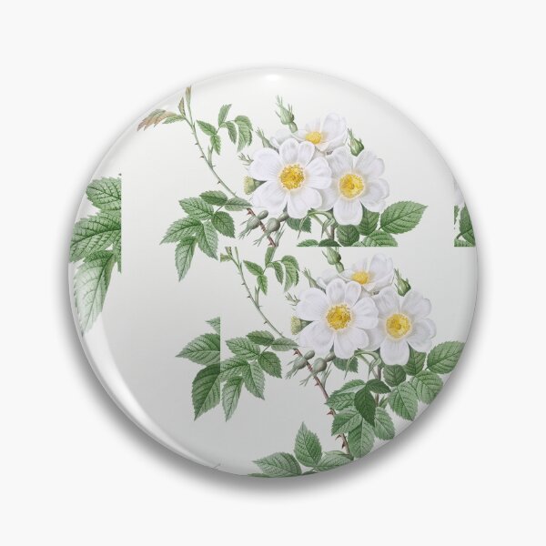 Item preview, gorgeous white roses designed and sold by loretta nchabeleng.