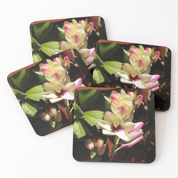Item preview, Stunning freesias designed and sold by greentiger1.
