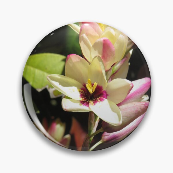 Item preview, Stunning freesias designed and sold by greentiger1.