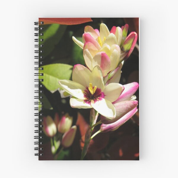 Item preview, Stunning freesias designed and sold by greentiger1.