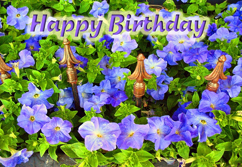 happy birthday purple flowers