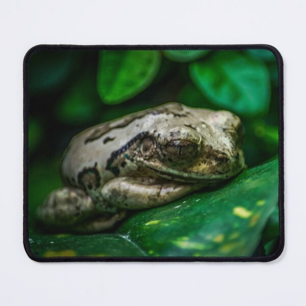 Item preview, Frog designed and sold by axp7884.