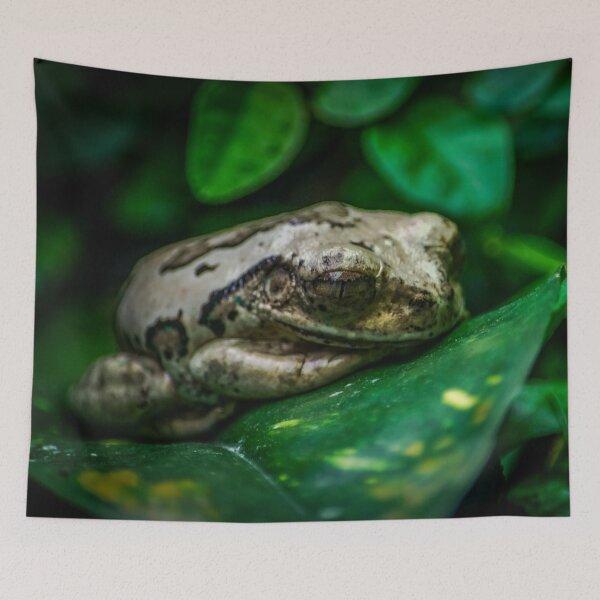 Item preview, Frog designed and sold by axp7884.