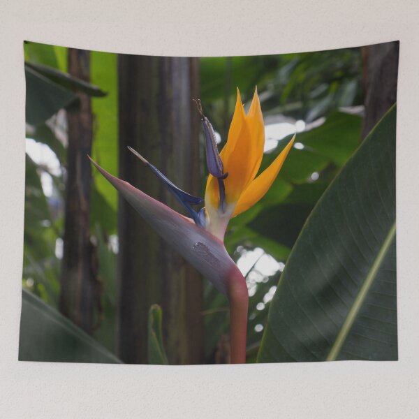 Item preview, Gem from the Jungle - a Singular Bird of Paradise designed and sold by Georgia Mizuleva.