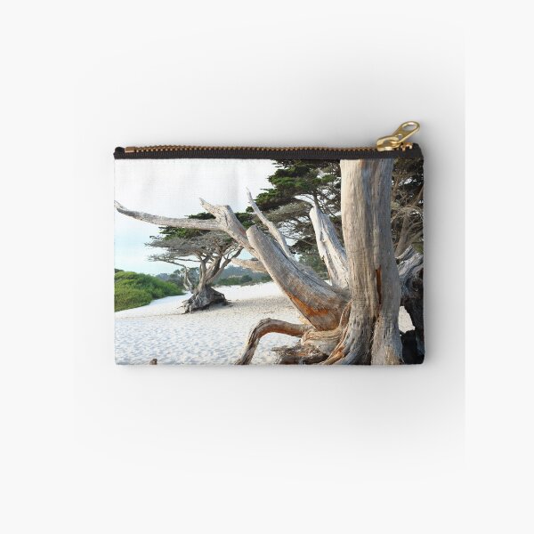 Aperçu de l'œuvre Carmel Beach créée et vendue par Steve Hunter.