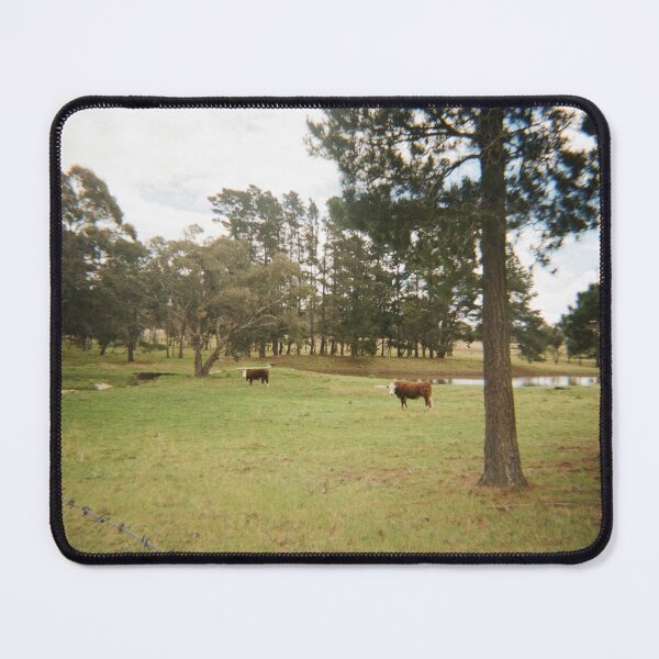 Item preview, Cows on 35mm film designed and sold by Dominique Tassell.