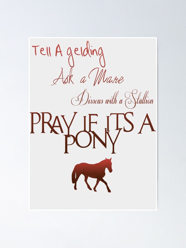 Tell a Gelding, Ask a mare. Horse Sayings - Red Poster for Sale by  redwolfegraphic