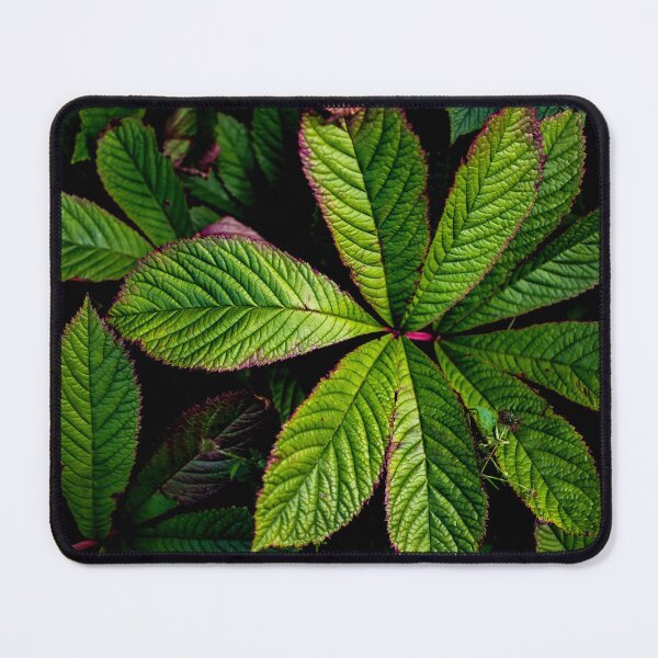 Item preview, The Palmately Compound Leaf designed and sold by Arc1.