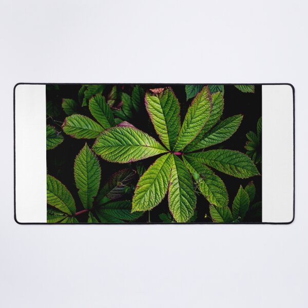 Item preview, The Palmately Compound Leaf designed and sold by Arc1.