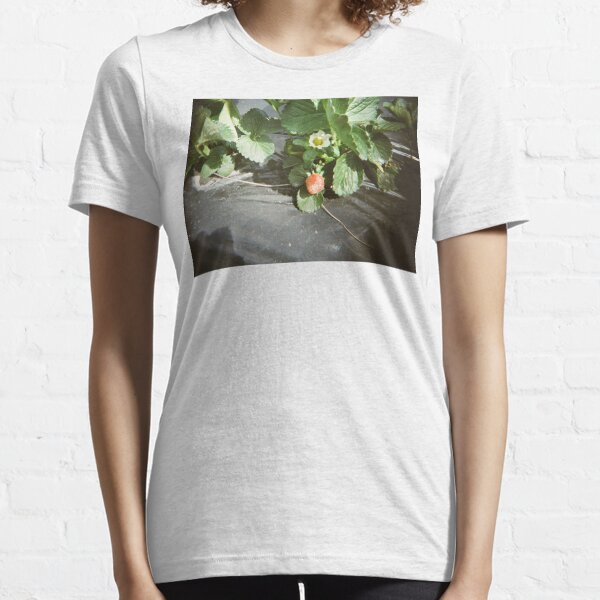 Strawberry picking on 35mm film Essential T-Shirt