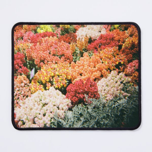Item preview, Carnival of Flowers 35mm film photography designed and sold by Dominique Tassell.
