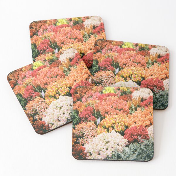 Item preview, Carnival of Flowers 35mm film photography designed and sold by Dominique Tassell.