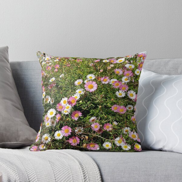 Item preview, Erigeron karvinskianus (Mexican Fleabane) designed and sold by Floral-Art.