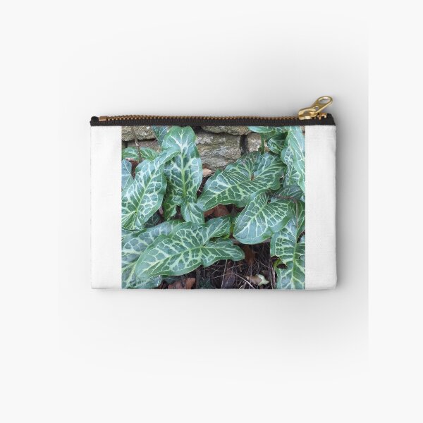 Item preview, Arum italicum (Italian Arum)   designed and sold by Floral-Art.
