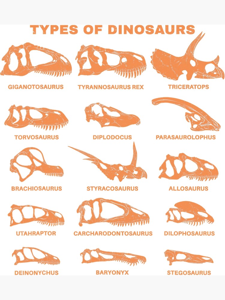"Types of Dinosaurs Fossil Hunter Future Paleontologist" Poster for