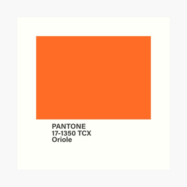 pantone 16-1448 TCX Burnt Orange Art Print for Sale by princessmi-com