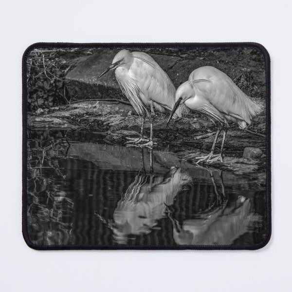 Item preview, Little Egrets Reflecting In The Pond designed and sold by axp7884.