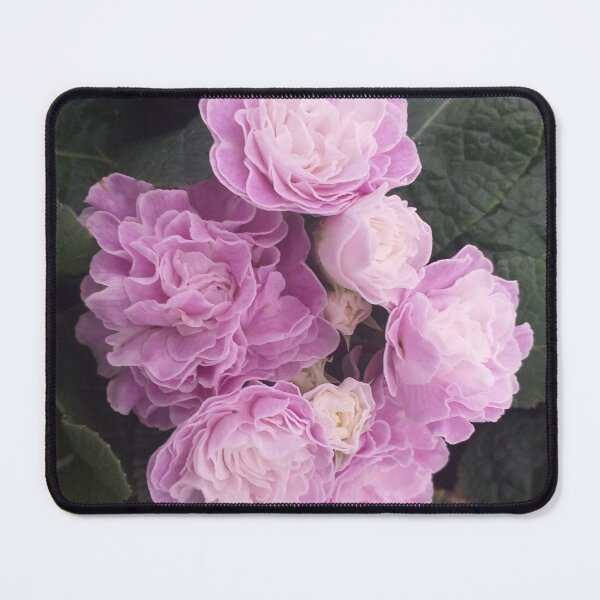 Item preview, Lilac double flowered primroses designed and sold by Floral-Art.
