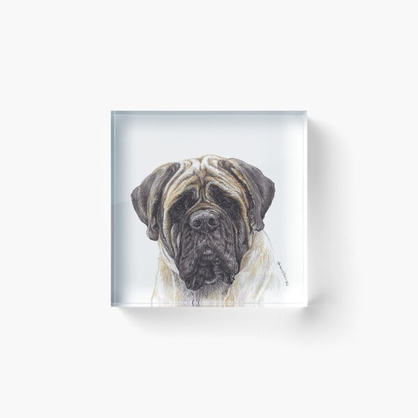 Item preview, English Mastiff designed and sold by Amber Westwood.