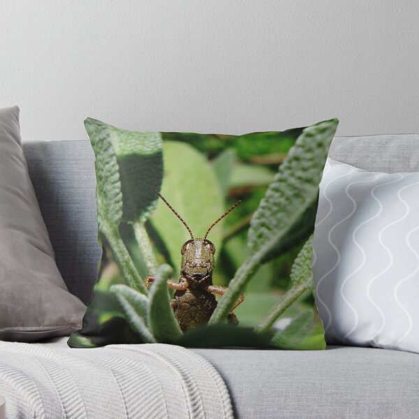 Item preview, A SAGE GRASSHOPPER designed and sold by SpiderMilkshake.