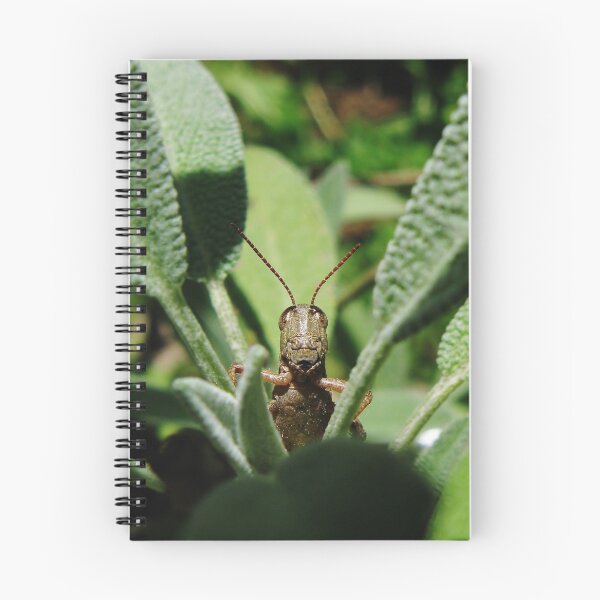 Item preview, A SAGE GRASSHOPPER designed and sold by SpiderMilkshake.