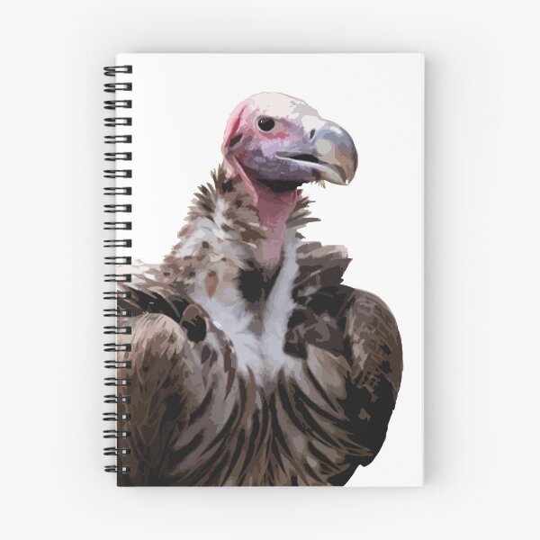 Aperçu de l'œuvre Vautour Oricou créée et vendue par ZoiseauX.