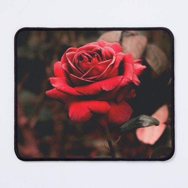 Item preview, Beautiful Rose designed and sold by ZamaArts.