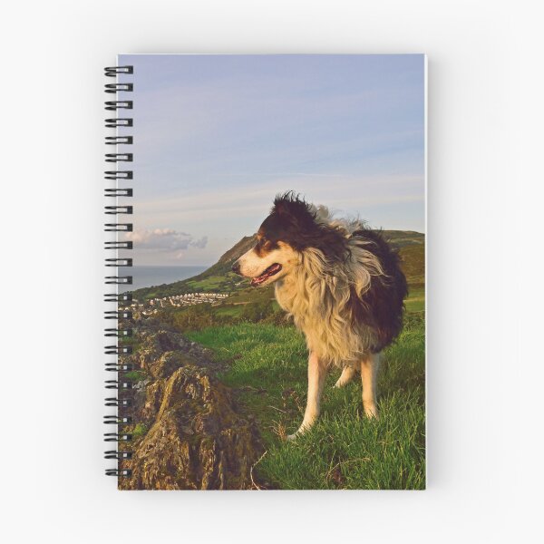 Item preview, High On A Hill. designed and sold by Michael Haslam.
