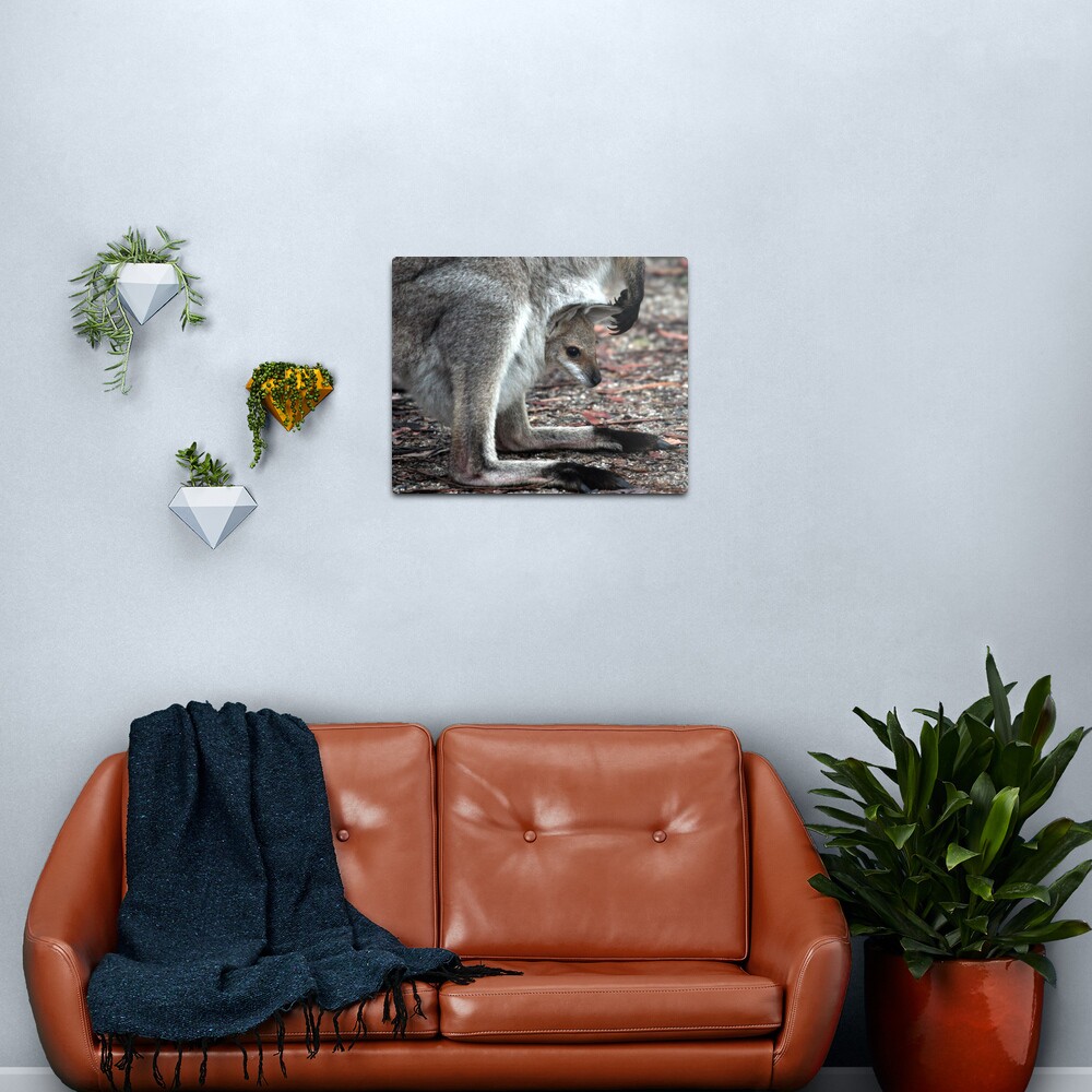 Joey Metal Print