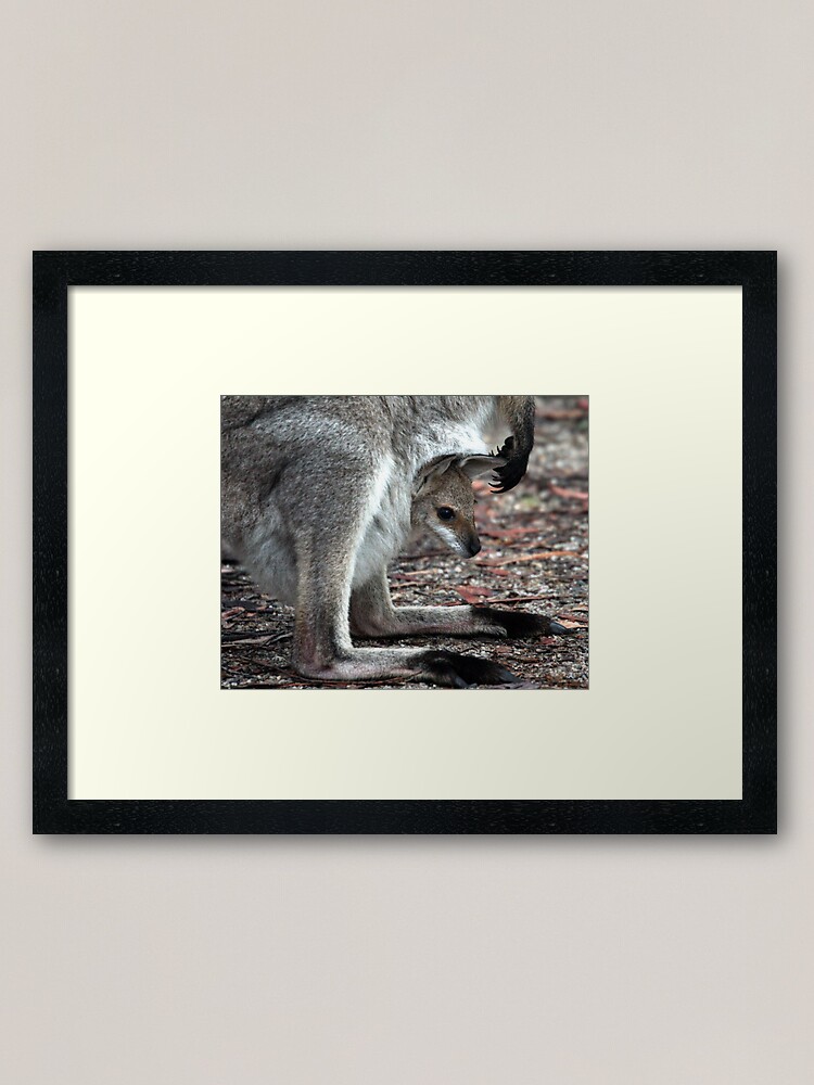 Alternate view of Joey Framed Art Print
