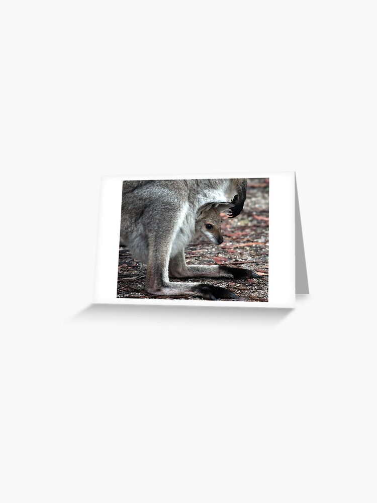 Thumbnail 1 of 2, Greeting Card, Joey designed and sold by theoddshot.