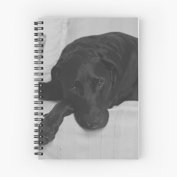 Item preview, Nice dog designed and sold by tshirtbest.