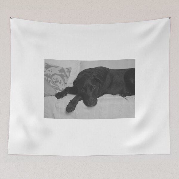 Item preview, Nice dog designed and sold by tshirtbest.