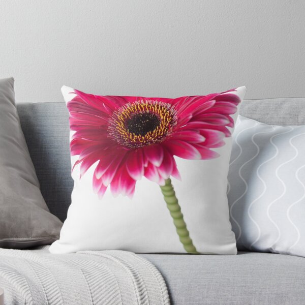 Item preview, Gerbera14 designed and sold by Jacinthe Brault.
