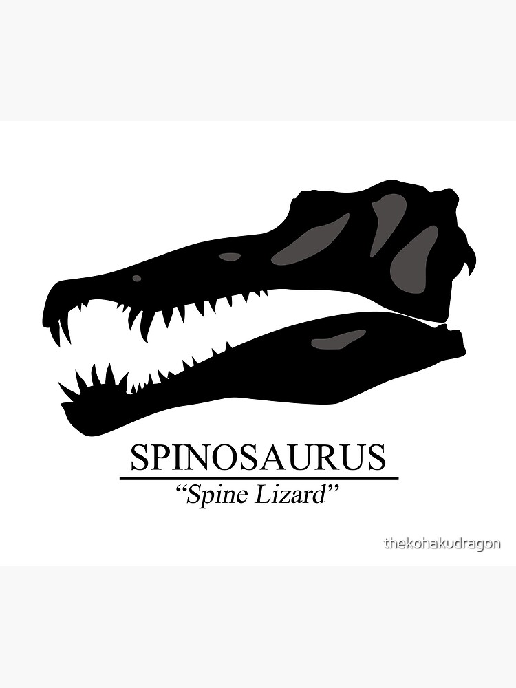 spinosaurus skeleton drawing