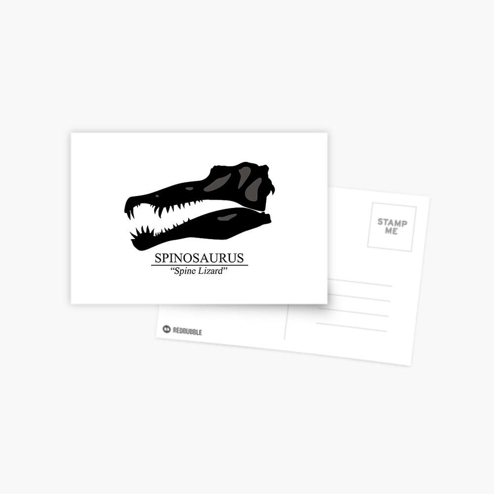 Spinosaurus Skull Postcard