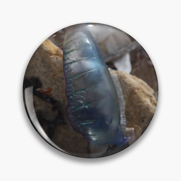 Item preview, Blue Bottle designed and sold by Taylor Cable.