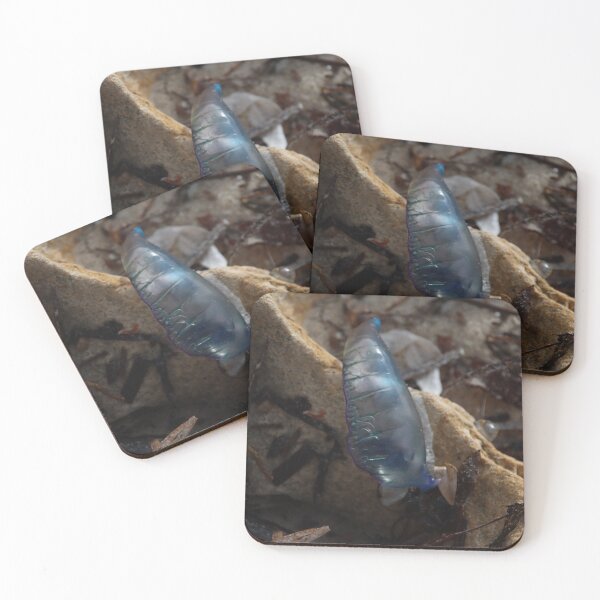 Item preview, Blue Bottle designed and sold by Taylor Cable.