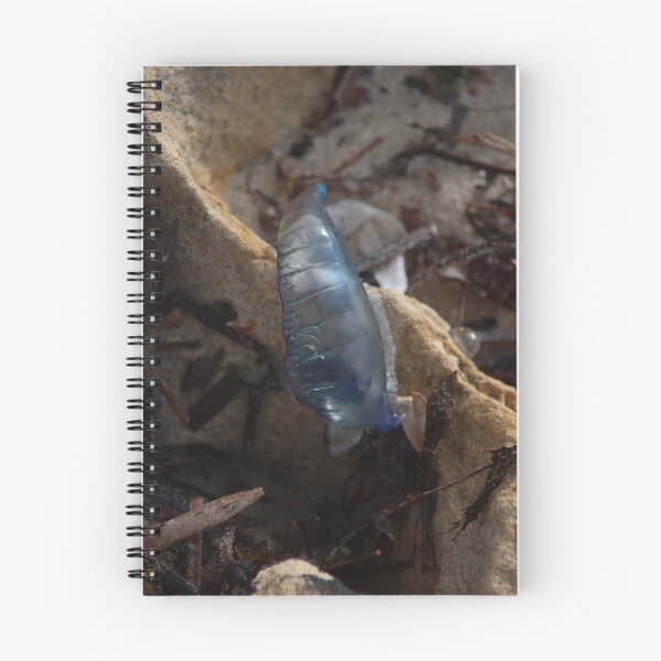 Item preview, Blue Bottle designed and sold by Taylor Cable.