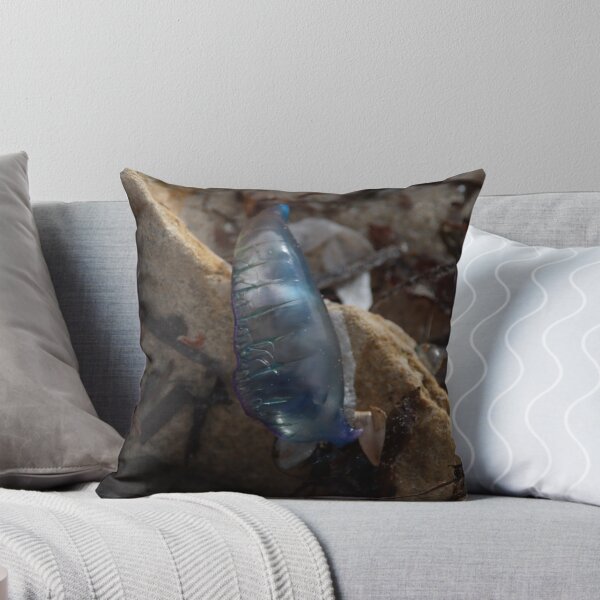 Item preview, Blue Bottle designed and sold by Taylor Cable.