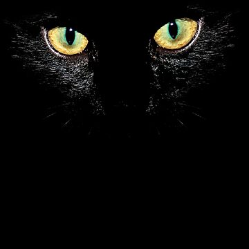 Artwork thumbnail, Halloween Cat Eyes Lucky for some by oodelally