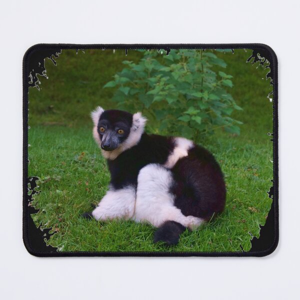 Item preview, Black & White Ruffled Lemur designed and sold by Nicole Gath.