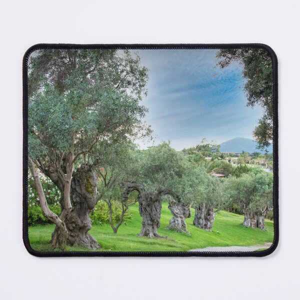 Item preview, The Old Olive Grove designed and sold by Viv Thompson Photography .