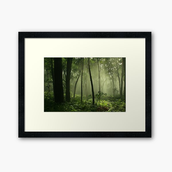 feel this country .Marysville. Framed Art Print