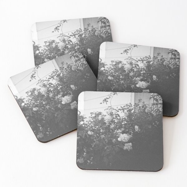 Item preview, Warwick roses on 35mm black and white film designed and sold by Dominique Tassell.