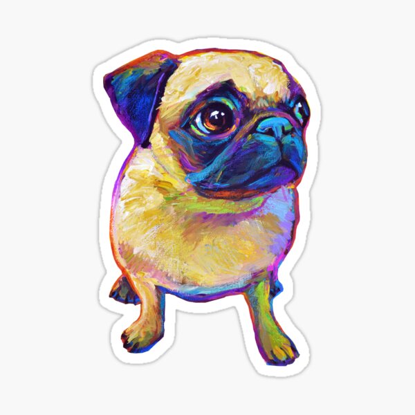 Adorable Pug Sticker