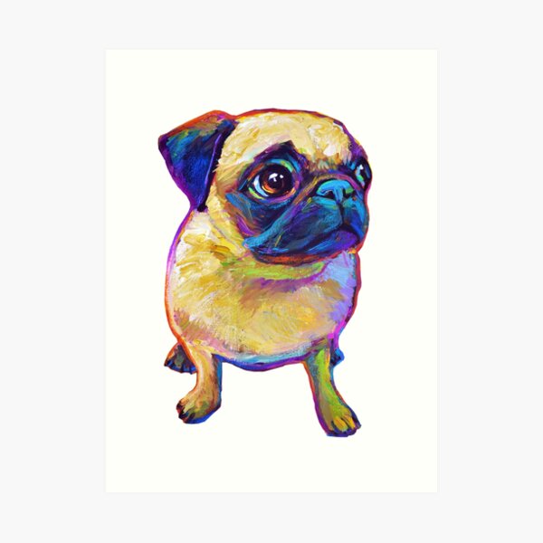 Adorable Pug Art Print