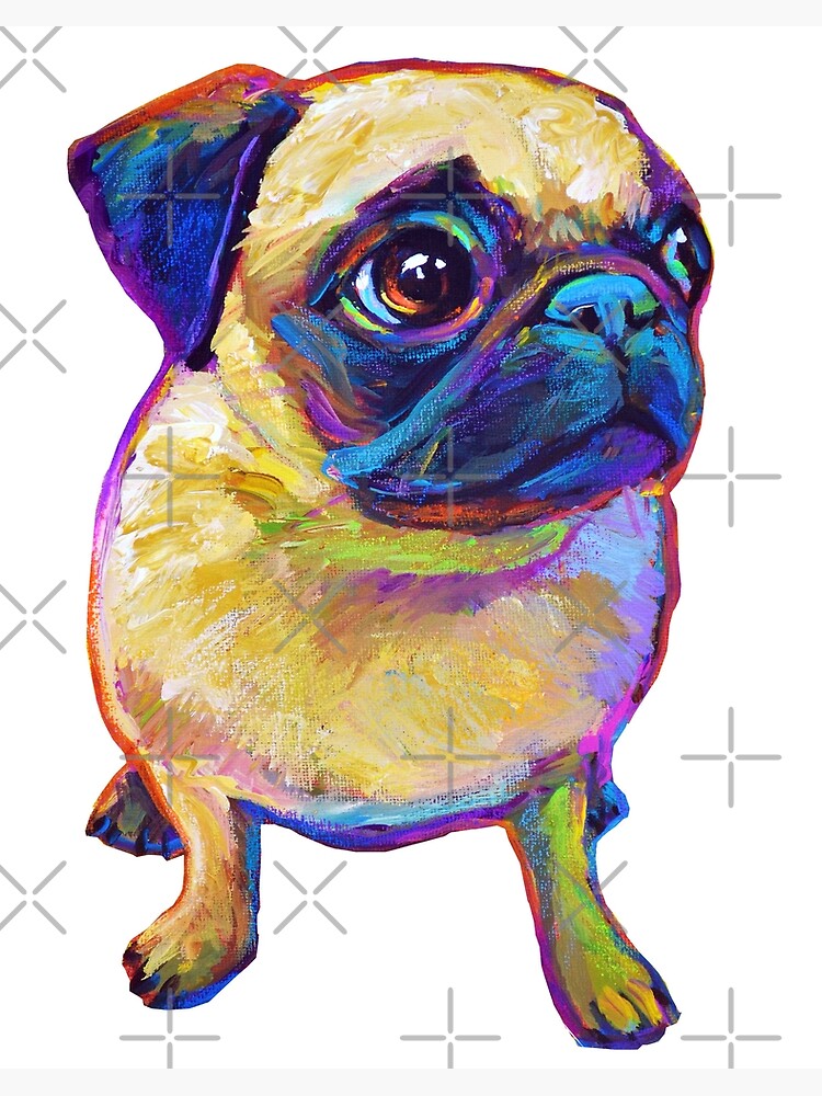 Adorable Pug Art Board Print for Sale by RobertPhelpsArt