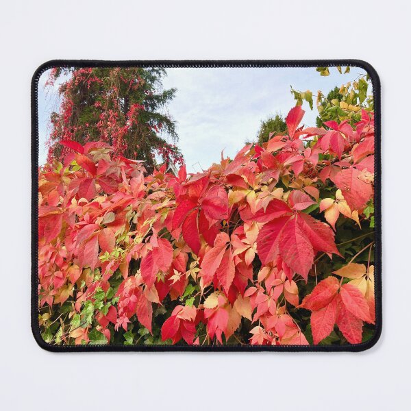 Item preview, RED LEAVES, Autumn / Fall In Denmark designed and sold by ZophiaSolaris.
